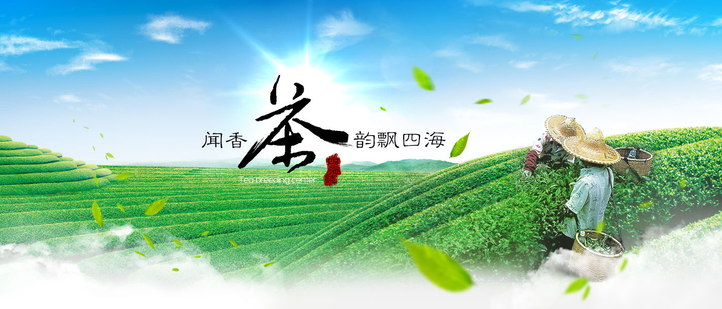 波宝官网-TronLink官网-波宝钱包官方网站